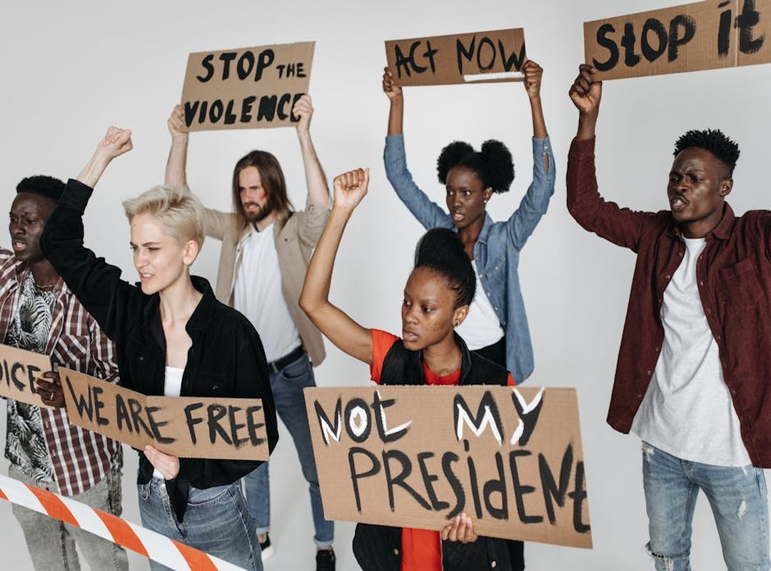 Can Dog Eat Felmusgano