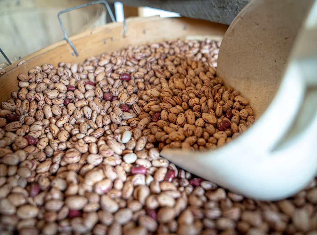 coffee culture trends