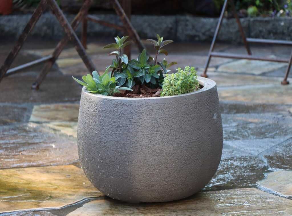 home herb garden