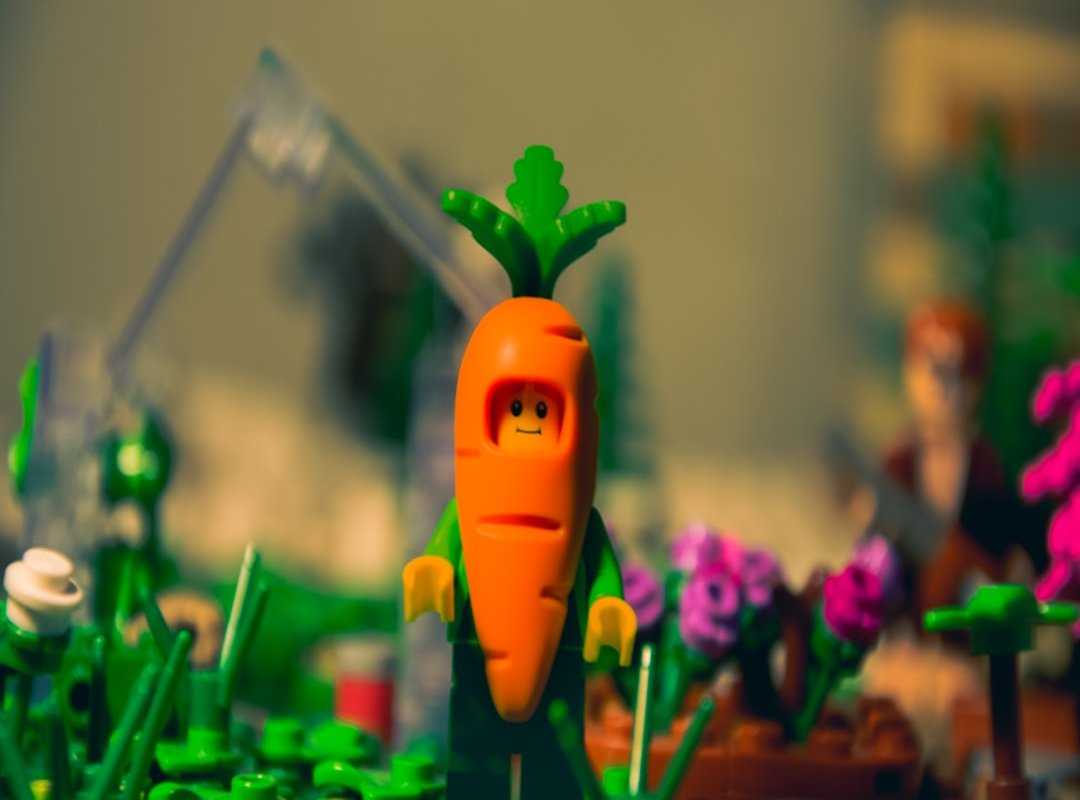 plant-based dining trends
