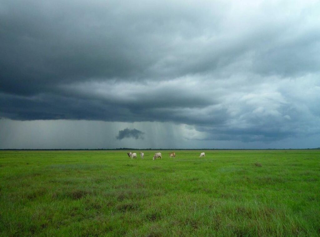 amirah insyirah doodstream