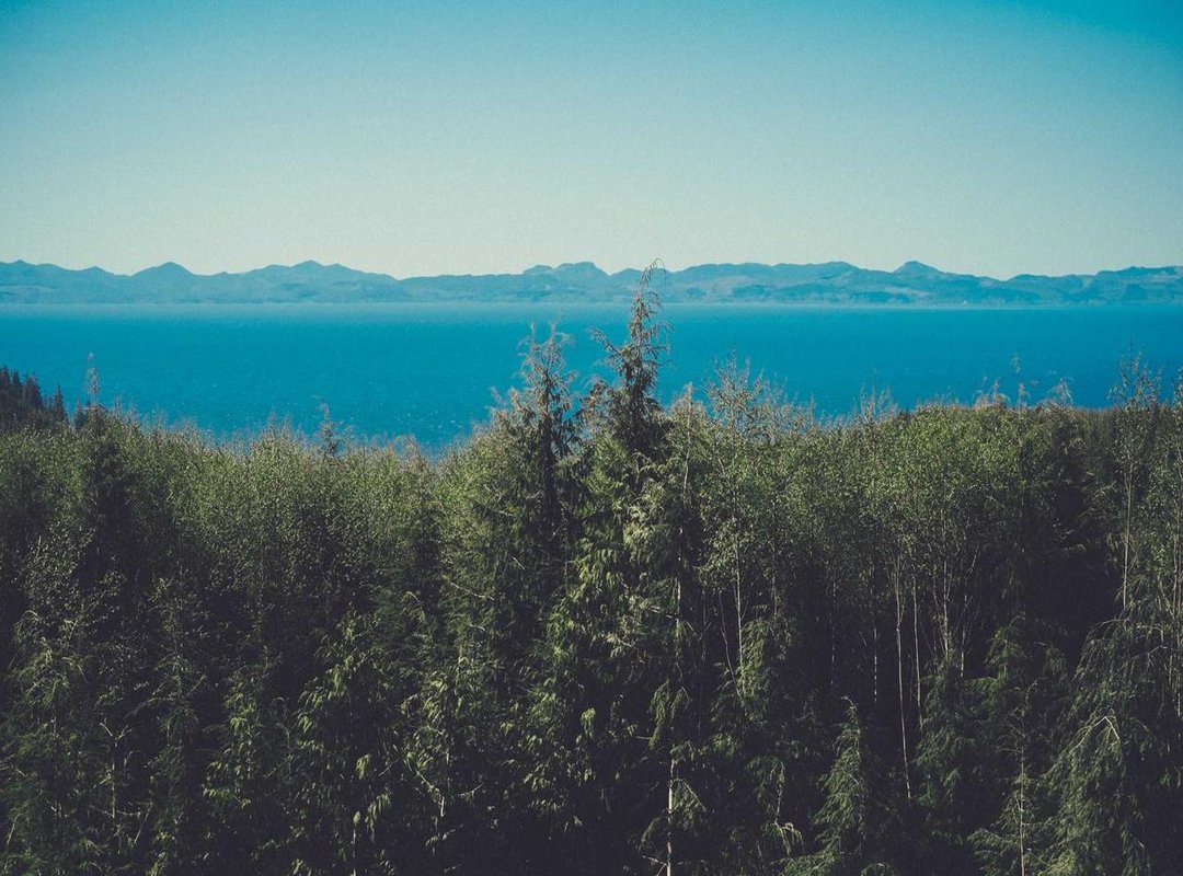 Warning: Avoid These Coin Master Scams