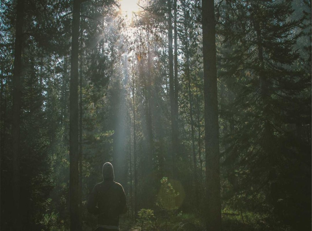 A Symbol of the Modern Grind: What the Meme Really Represents