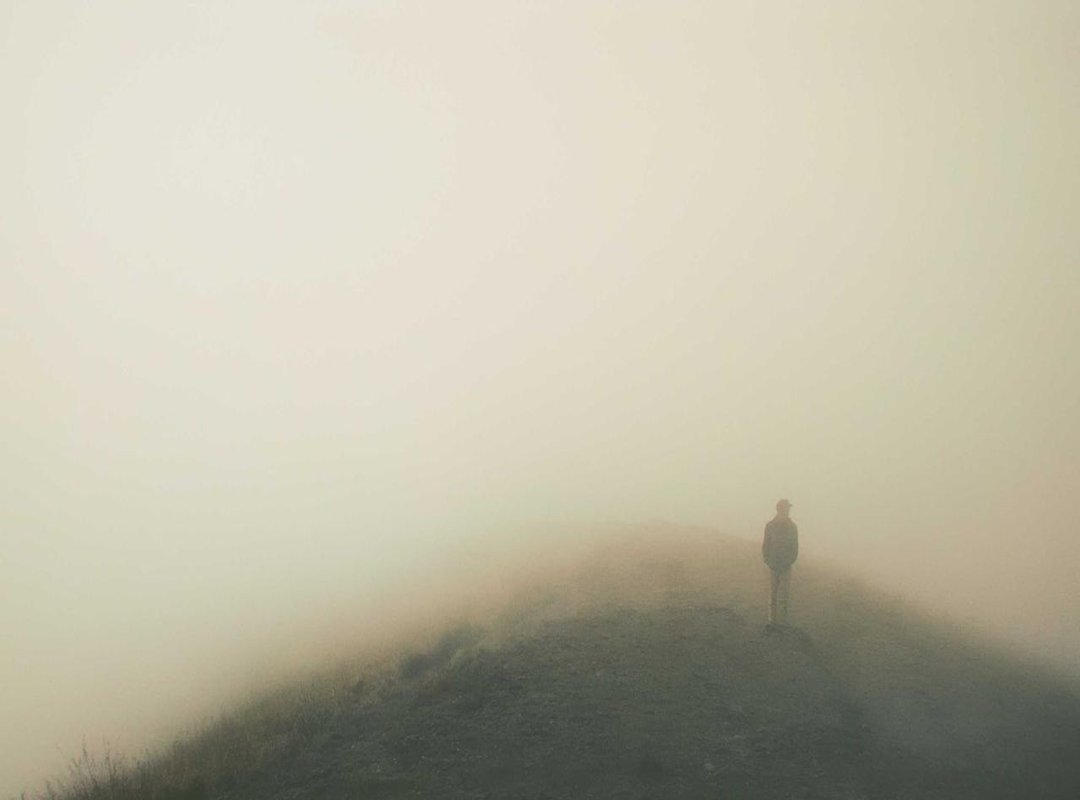 From News Clip to National Meme: The Video's Cultural Impact