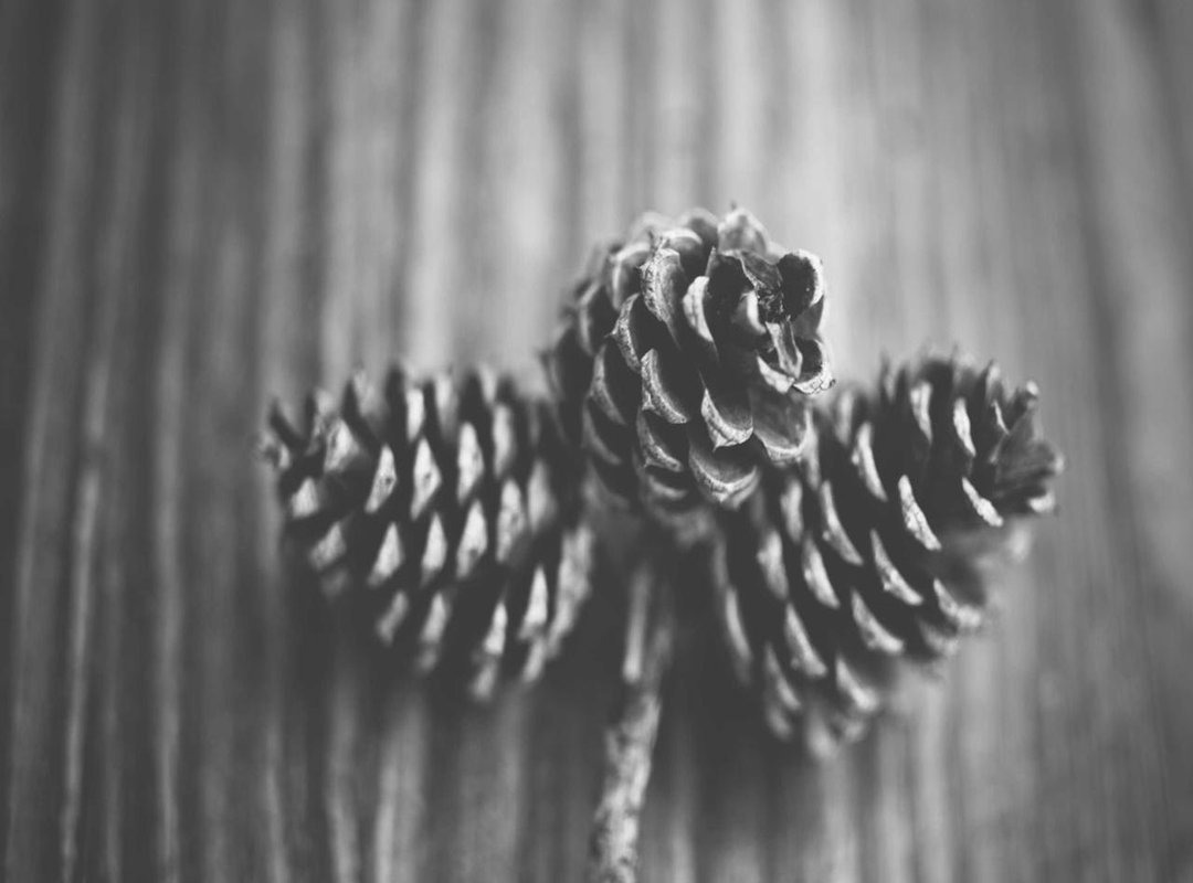 The Story Behind the Numbers: Recent Form and Historical Context