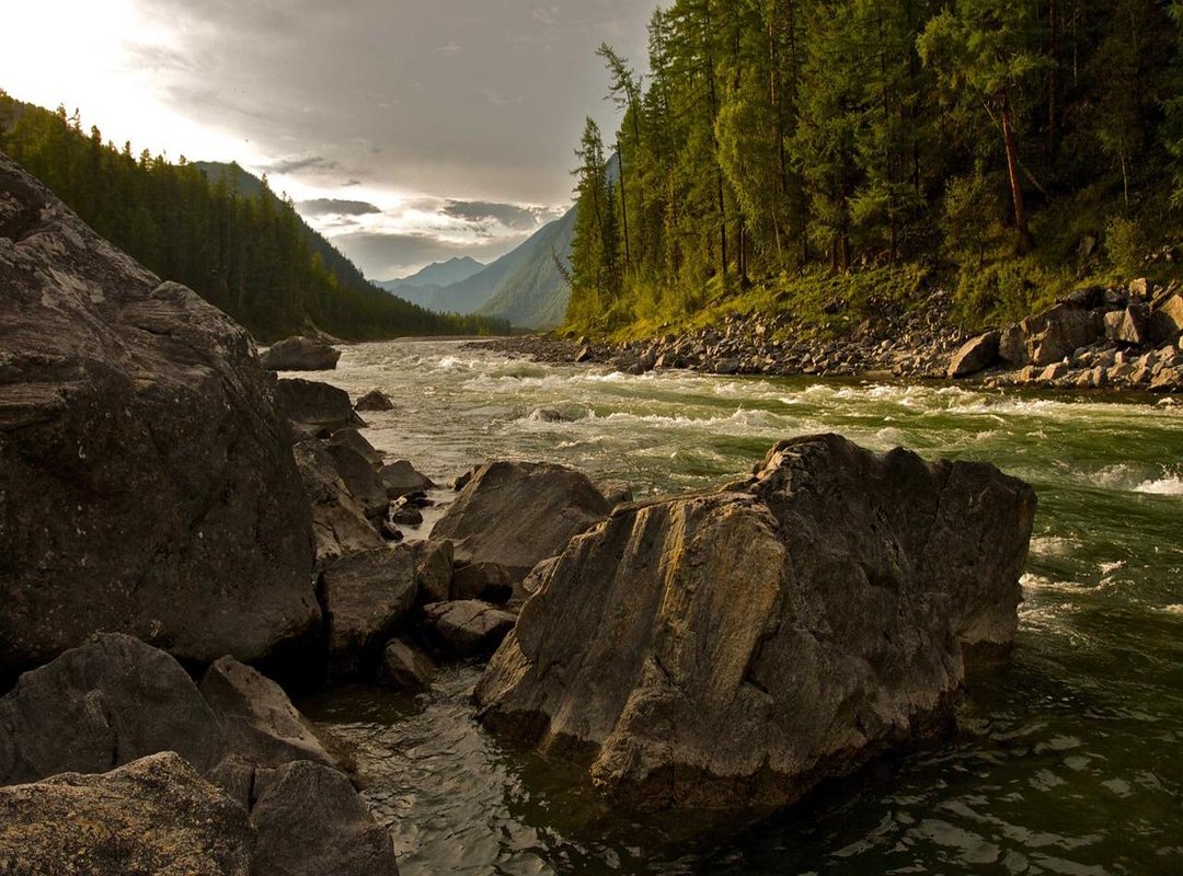 Beyond the Headlines: Personal Pursuits and Social Media Presence